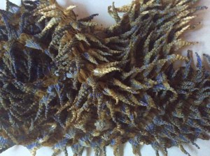 A little bit of shibori magic